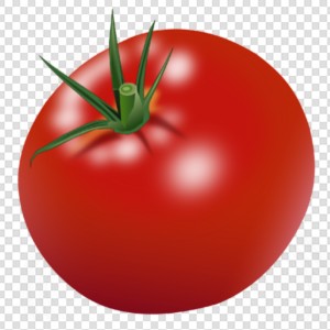 蔬菜 番茄 