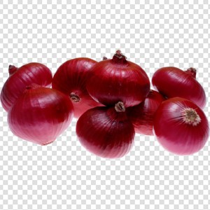 洋葱 onion 